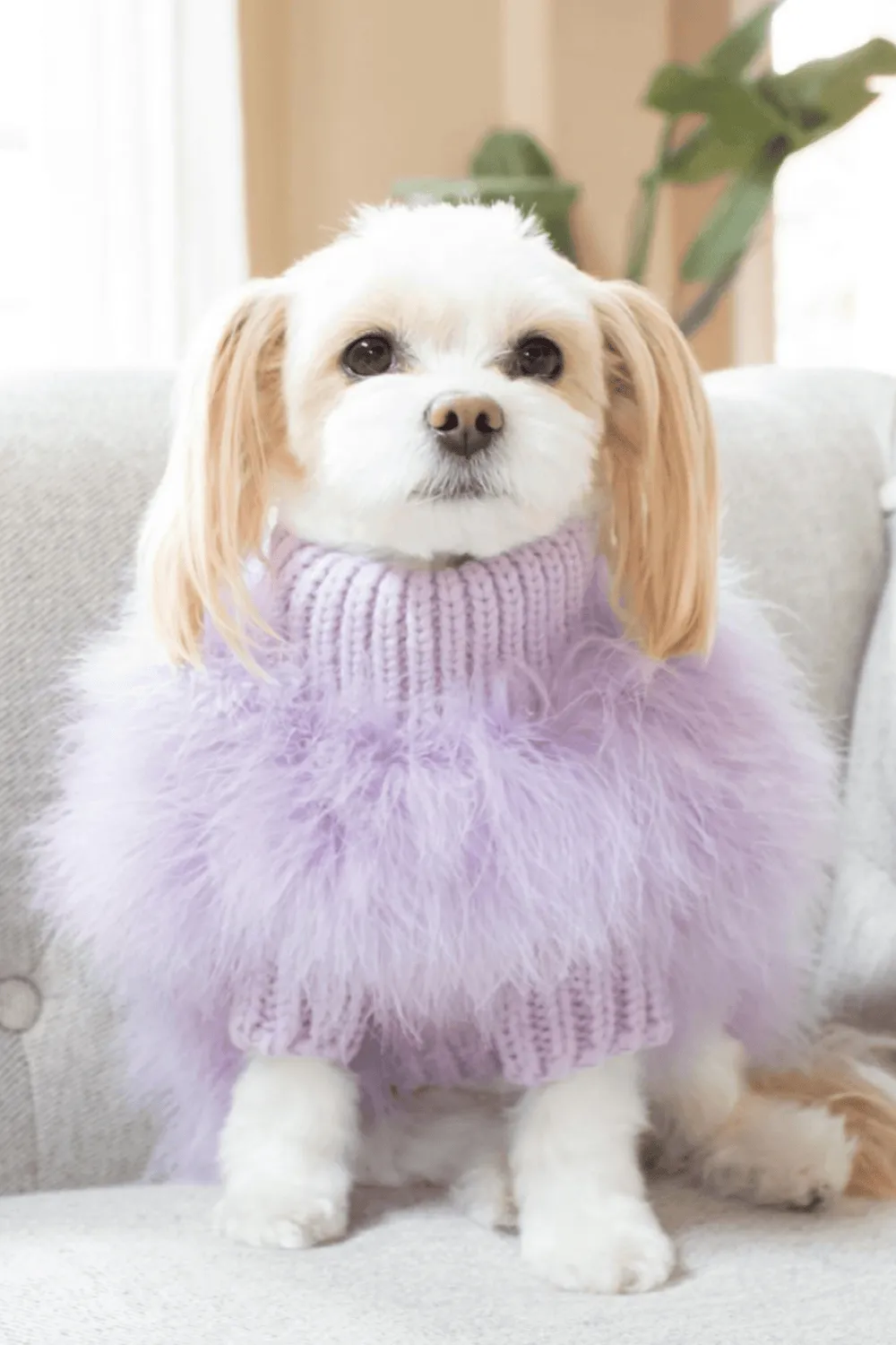 fuzzy feather jumper - lavender